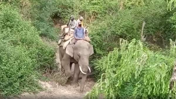 कॉर्बेट नेशनल पार्क का इस सत्र पर्यटकों के लिए खुलना मुश्किल