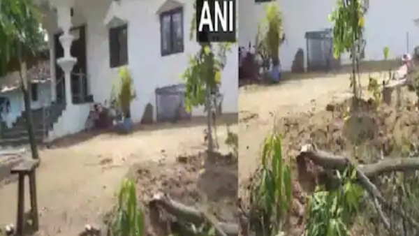 jashpur elephant did ruscus in mp house jashpur elephant did ruscus in mp house