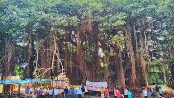 पेड़ को काटने का जमकर विरोध