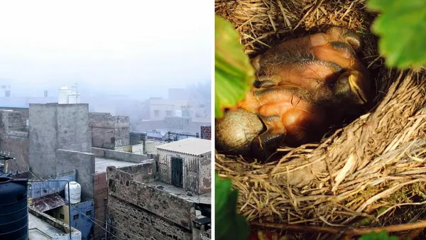 गांव के जज्बे को लोगों का सलाम