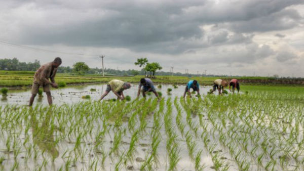 Farming Farming