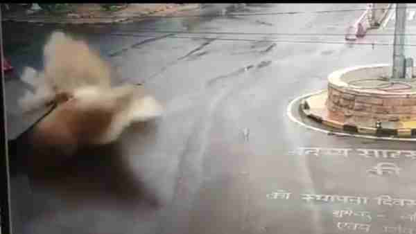 Jodhpur: Explosion on road water bursting into the ground see video Jodhpur: Explosion on road water bursting into the ground see video