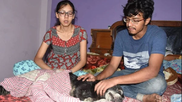 अनीता की लाश देखकर व्याकुल हुई पालतू कुतिया