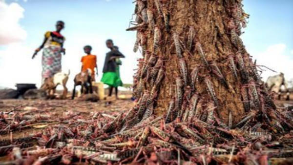 क्या होती है राष्ट्रीय आपदा?