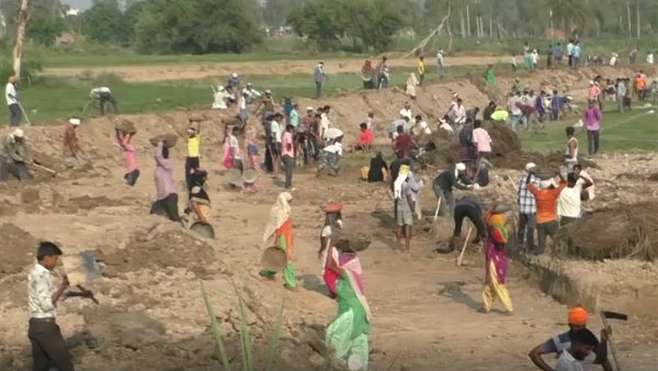 mgnrega: more than 70 thousand people employment by mgnrega scheme at moradabad mgnrega: more than 70 thousand people employment by mgnrega scheme at moradabad