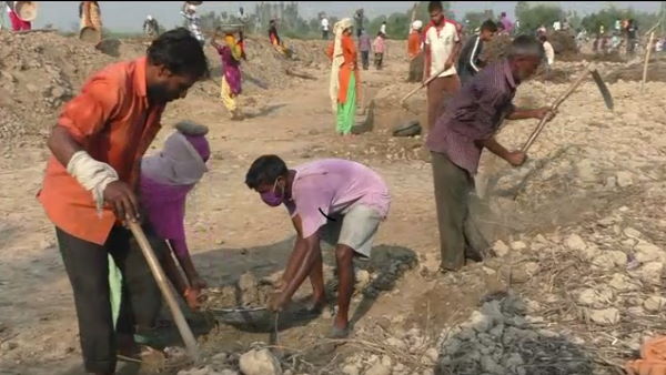 mgnrega: more than 70 thousand people employment by mgnrega scheme at moradabad mgnrega: more than 70 thousand people employment by mgnrega scheme at moradabad