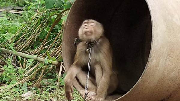 अब प्रोडक्ट पर कोड लगाने की योजना