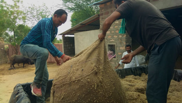 20 बीघा में सफल रहा पायलट प्रोजेक्ट