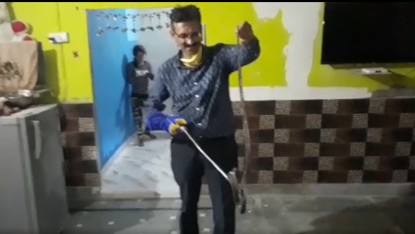Real Cobra snake reached in Home at ajmer watch Video Real Cobra snake reached in Home at ajmer watch Video