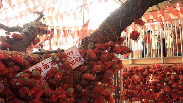 सालासर बालाजी धाम से जुड़ी अन्य बातें