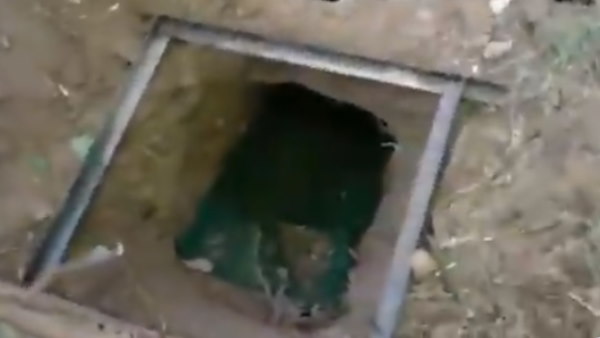 jammu kashmir search operation by Army and Police hideout busted in Shopian arms ammunition recovered jammu kashmir search operation by Army and Police hideout busted in Shopian arms ammunition recovered