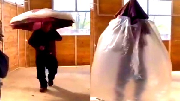 umbrella umbrella