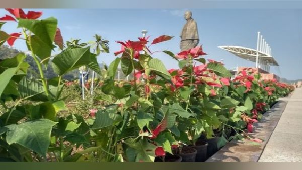 पहली बार हुआ जब उद्घाटन के बाद 2 हफ्ते से ज्यादा बंद रही