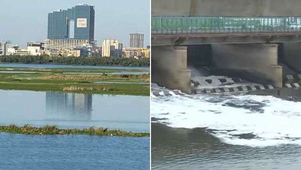 toxic foam in yamuna river, toxic foam, yamuna river, yamuna river toxi foam, lake froth, delhi, yamuna, pollution in delhi yamuna river, polluted yamuna river, video, lockdown, delhi polluted yamuna river, दिल्ली, यमुना नदी, प्रदूषित यमुना नदी, यमुना, लॉकडाउन, लॉकडाउन के दौरान साफ यमुना, लॉकडाउन के बाद प्रदूषित यमुना, यमुना नदी की तस्वीरें, वीडियो toxic foam in yamuna river, toxic foam, yamuna river, yamuna river toxi foam, lake froth, delhi, yamuna, pollution in delhi yamuna river, polluted yamuna river, video, lockdown, delhi polluted yamuna river, दिल्ली, यमुना नदी, प्रदूषित यमुना नदी, यमुना, लॉकडाउन, लॉकडाउन के दौरान साफ यमुना, लॉकडाउन के बाद प्रदूषित यमुना, यमुना नदी की तस्वीरें, वीडियो