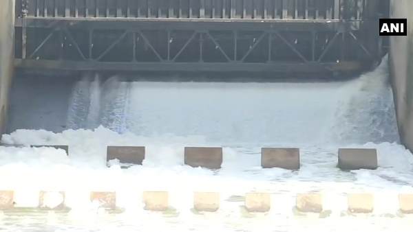 toxic foam in yamuna river, toxic foam, yamuna river, yamuna river toxi foam, lake froth, delhi, yamuna toxic foam in yamuna river, toxic foam, yamuna river, yamuna river toxi foam, lake froth, delhi, yamuna