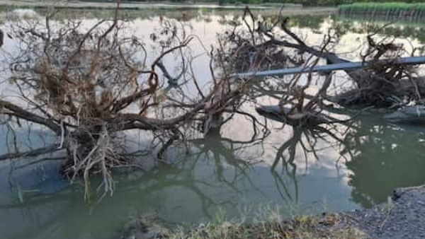 gopalganj devastation after flood water recede two dead body found gopalganj devastation after flood water recede two dead body found