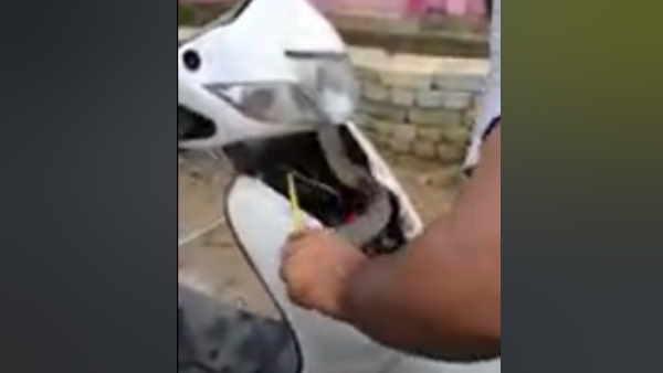 आए दिन इलाके में मिल रहे हैं सांप