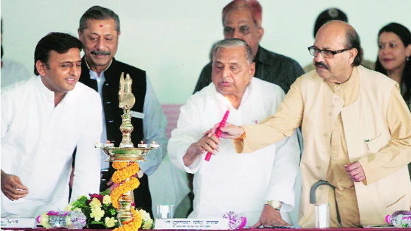 खुद की पार्टी बनाकर लड़ा चुनाव