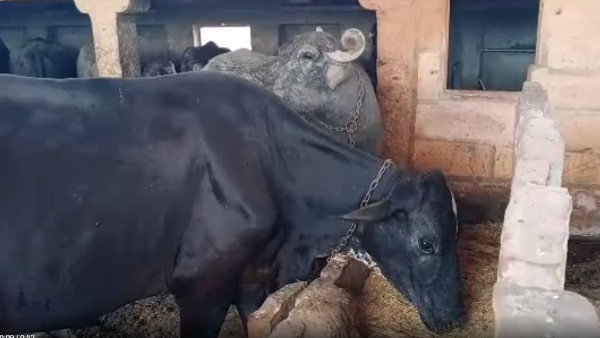 पैसों की व्यवस्था नहीं होने की बात कही