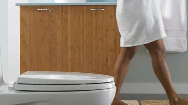 toilet toilet