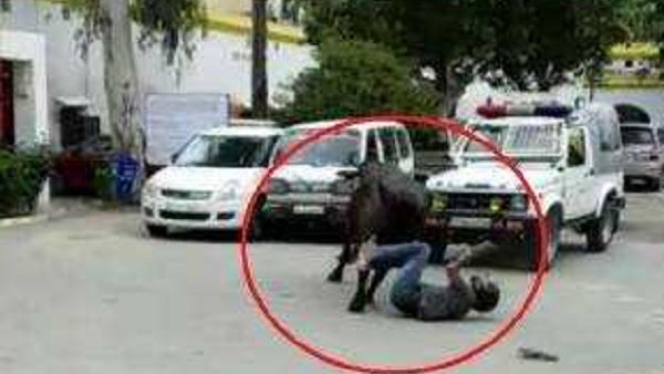 हिम्मत जुटाकर पुलिस कर्मियों ने संभाला मोर्चा