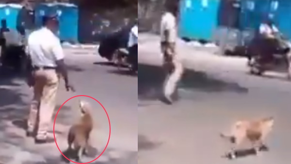 सोशल मीडिया पर वायरल हुआ वीडियो