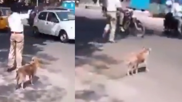 दक्षिण भारत का है वीडियो