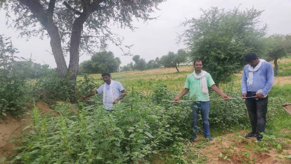 क्या है 'रास्ता खोलो अभियान'