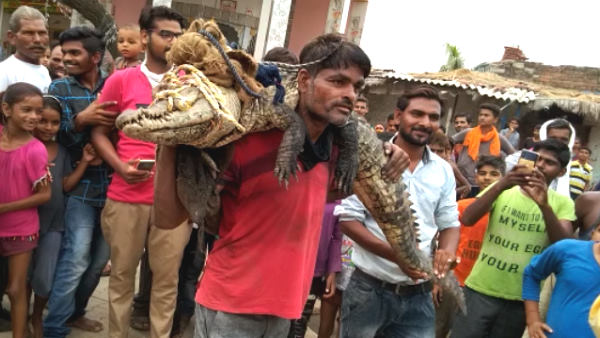 वन विभाग को नहीं मिल रही थी सफलता