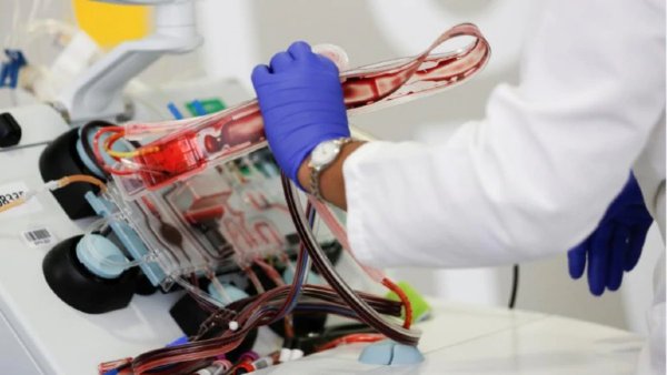 सबसे बेहतर और मानक माना जाता है RT-PCR मोड परीक्षण