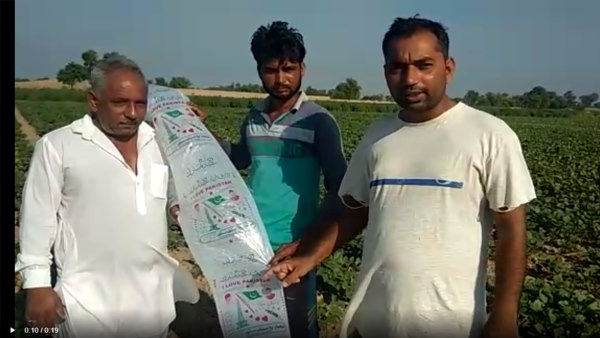 Pakistani Balloons and flag Found in Sri GangaNagar Pakistani Balloons and flag Found in Sri GangaNagar