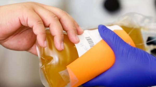 More than 900 people have donated plasma so far in Delhi ILBS recovery rate crosses 90 Percent More than 900 people have donated plasma so far in Delhi ILBS recovery rate crosses 90 Percent