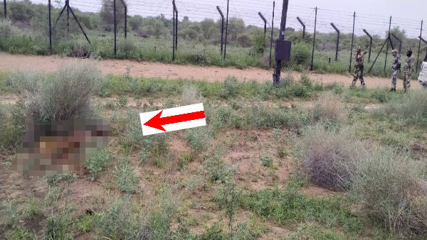 Pak intruder killed in Barmer Rajasthan On india Pakistan Border Pak intruder killed in Barmer Rajasthan On india Pakistan Border