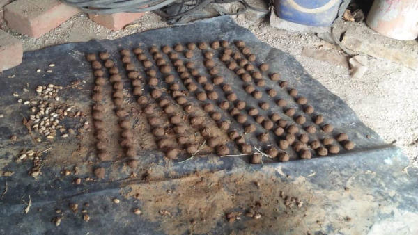 महिलाओं ने बनाई सीड्स बॉल और गुलेल