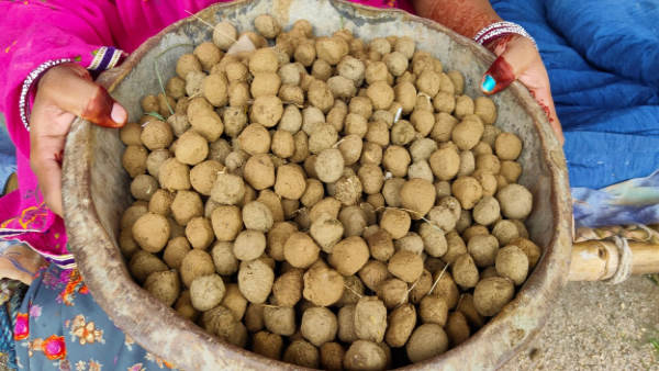 ऐसे कैसे होगा पौधारोपण