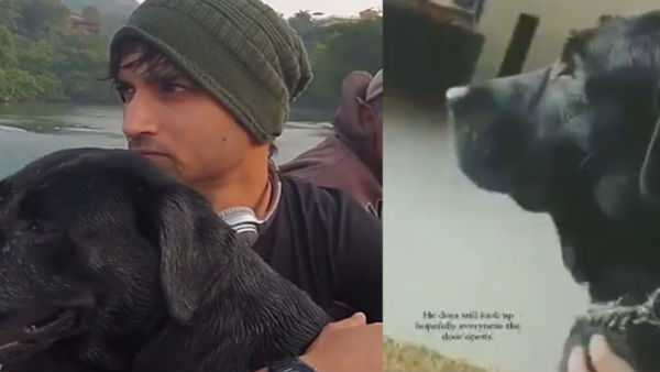 दरवाजा बजते ही खड़ा हो जाता है सुशांत का कुत्ता