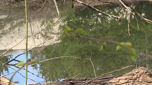 20 year old Youth drown in the Pond at Jamnagar 20 year old Youth drown in the Pond at Jamnagar