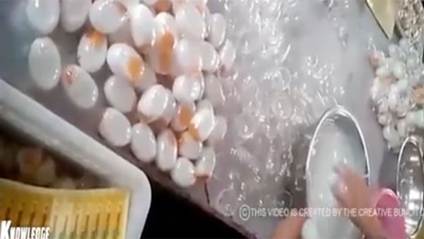 egg egg