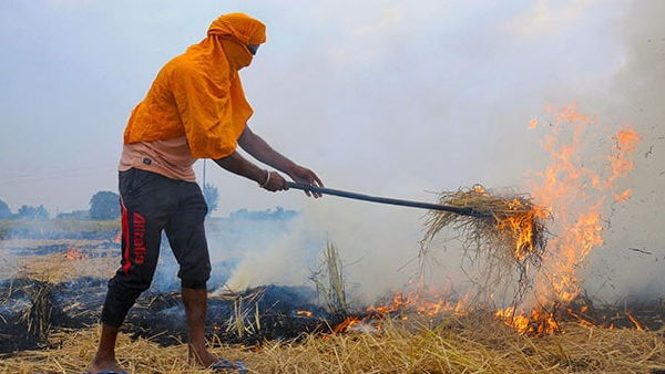 Environment Ministers of Delhi and 4 states meet on October 1 to discuss stubble burning Environment Ministers of Delhi and 4 states meet on October 1 to discuss stubble burning