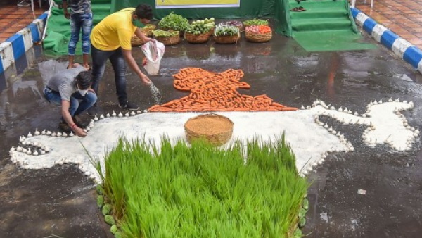 farmers protest farmers protest