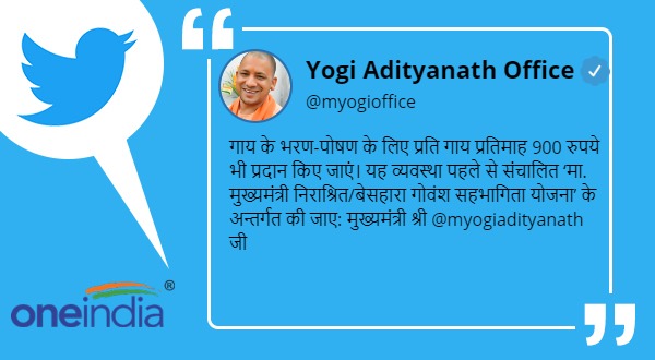 Per Cow Nine hundred rupees per month will be given, CM Yogi Adityanath directed districts administrations Per Cow Nine hundred rupees per month will be given, CM Yogi Adityanath directed districts administrations
