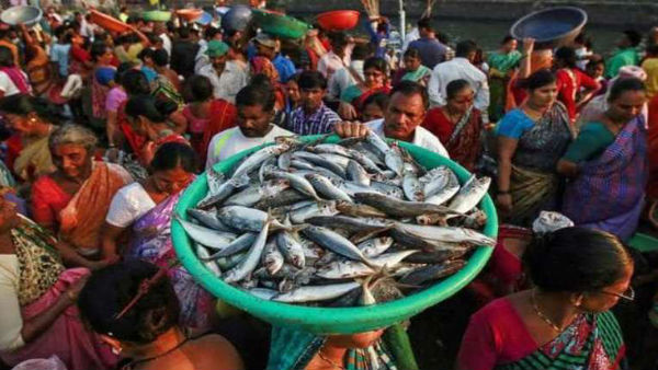 55 लाख लोगों को मिलेगा प्रधानमंत्री मत्स्य संपदा योजना का लाभ