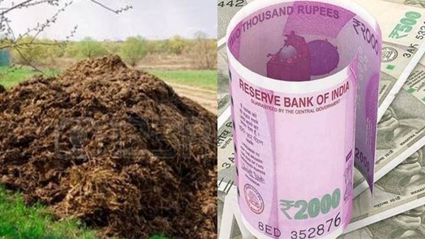'गोधन न्याय योजना' ने किस्मत बदल दी