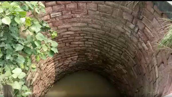 Bharatpur: Woman with three daughters jumped into well, four died Bharatpur: Woman with three daughters jumped into well, four died