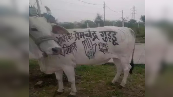 Madhya Pradesh by election Madhya Pradesh by election