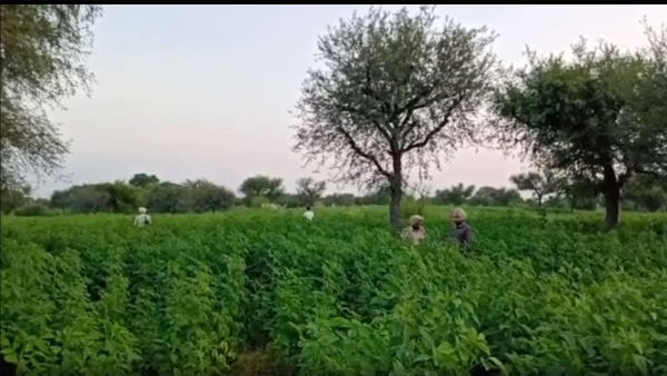 इन जगहों से हुई आरोपियों की गिरफ्तारी