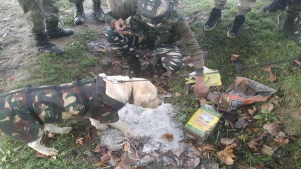 kashmir kashmir