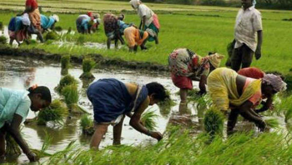 क्यों कर रहे हैं किसान विरोध?