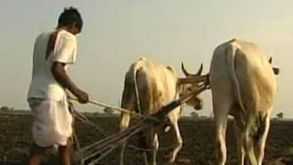 किसानों के लिए वरदान है ये विधेयक: केंद्र सरकार