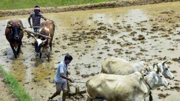 कृषि विधेयक पर राजनीति गर्म